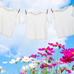 Clean White Shirts hanging outside on clothes line.