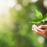 Hand holding young plant with green background. Contact Wicked Wash